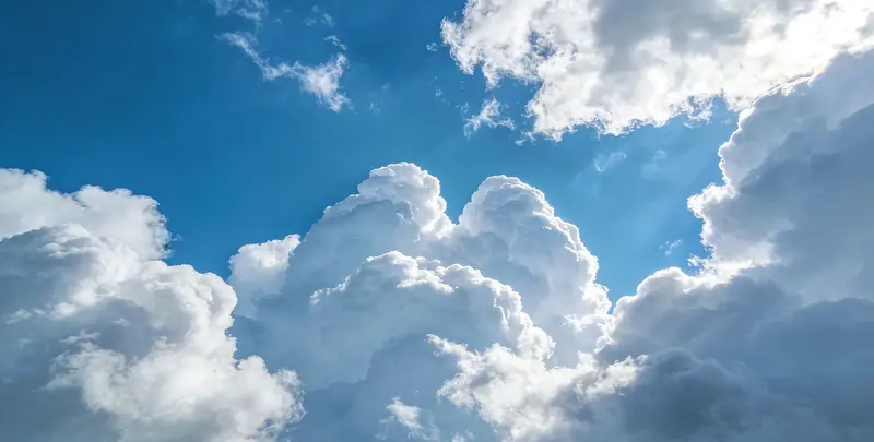 肺癌120基因ctDNA突变检测(血液）图2