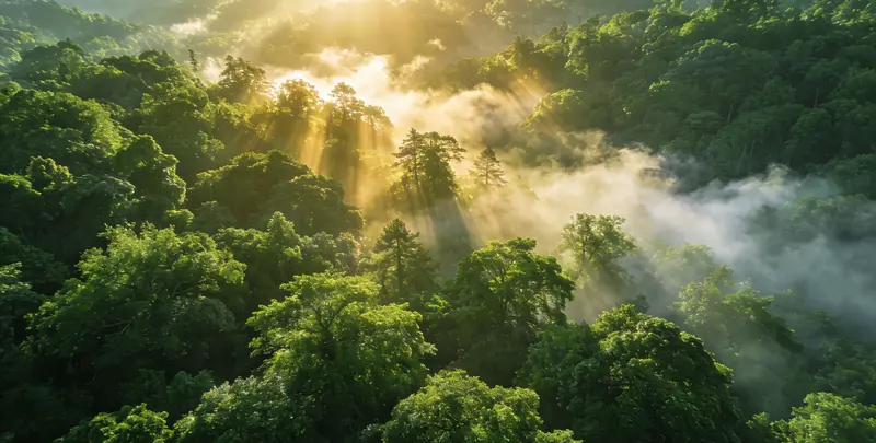 成都肺癌（EGFR T790M)突变检测图片1