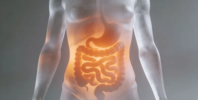 成都食管癌甲基化检测图片1